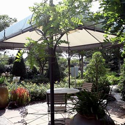 Mediterraner Garten – Tipps zur Gestaltung