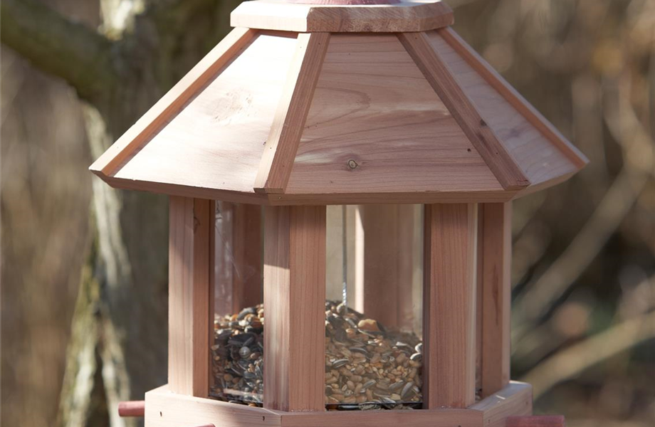 Hausmannskost für Hungerleider Hausmannskost für Hungerleider