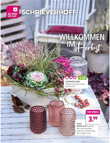 Beilage vom 13.09.2025