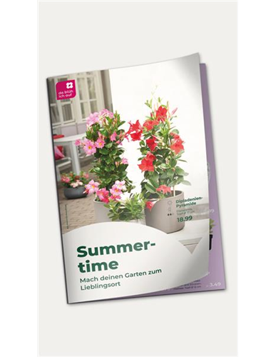 Beilage vom 18.04.2026, gültig bis zum 26.04.2026, solange der Vorrat reicht